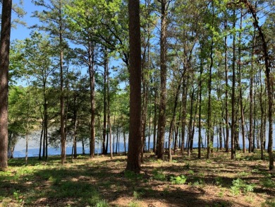 22.38 Private, Wooded, Waterfront Acres on Lake Palestine! - photo 10