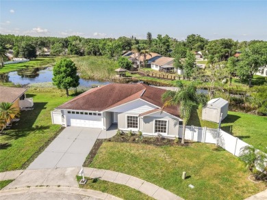 (private lake, pond, creek) Home For Sale in Lutz Florida