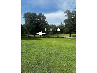 Rare opportunity on this spacious .28 acre +/- lot on The Course - photo 2
