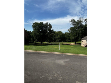 Rare opportunity on this spacious .28 acre +/- lot on The Course - photo 4