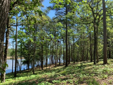 22.38 Private, Wooded, Waterfront Acres on Lake Palestine! - photo 13