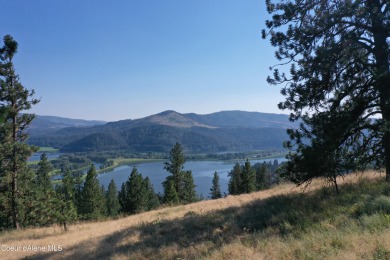 Round Lake Lot For Sale in Harrison Idaho