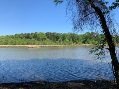 22.38 Private, Wooded, Waterfront Acres on Lake Palestine! - photo 5