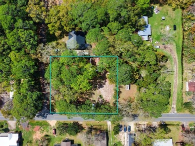 High and dry 120' X 130* cleared lot with mature pines and oaks - photo 3