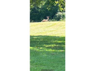 Don't miss out on this DEAL as the Owners are looking for an - photo 14