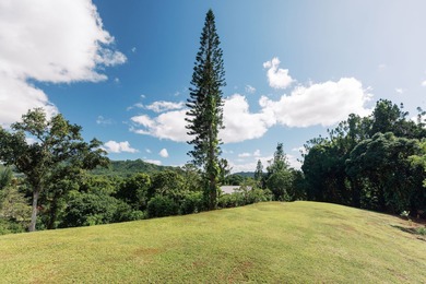 Wailua Oasis - Unit 3 - Waiale'ale View - .47 Acre - Seller will - photo 5