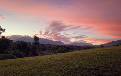 Wailua Oasis - Unit 3 - Waiale'ale View - .47 Acre - Seller will - photo 6
