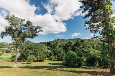 Wailua Oasis - Unit 3 - Waiale'ale View - .47 Acre - Seller will - photo 7