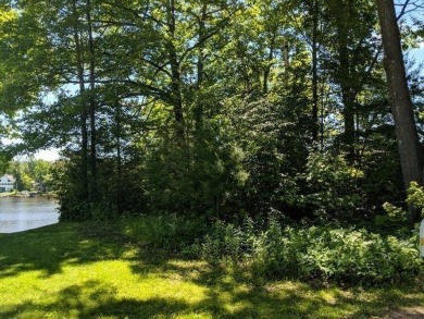 Lake Lot For Sale in Beaverton, Michigan