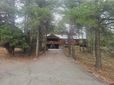 Lake Forest Home For Sale in Pagosa Springs Colorado