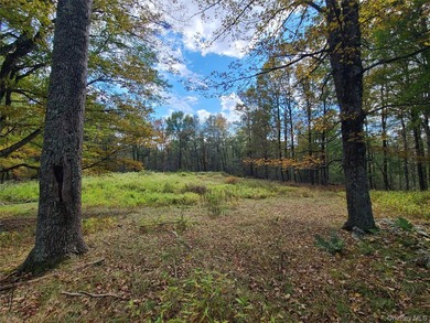 An exceptional opportunity in the heart of the Sullivan - photo 8