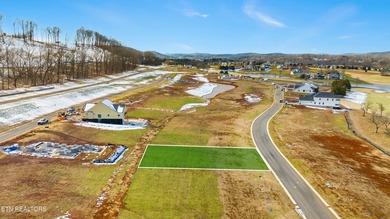 Watts Bar Lake Lot For Sale in Loudon Tennessee