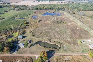 (private lake, pond, creek) Home For Sale in Shepherd Michigan