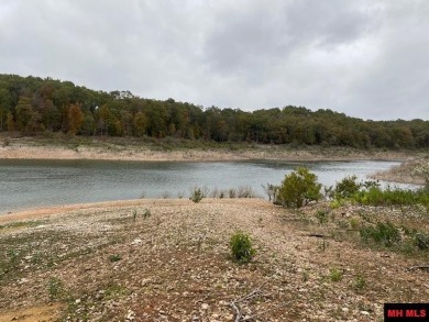 Lake Lot For Sale in Flippin, Arkansas