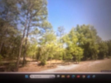 Bonable Lake Lot For Sale in Dunnellon Florida