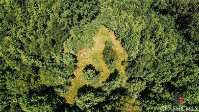 Lake Hartwell Acreage Sale Pending in Royston Georgia