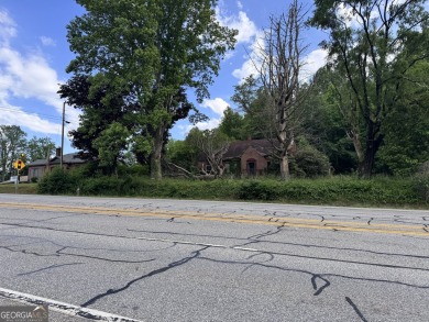 Lake Commercial For Sale in Hiawassee, Georgia