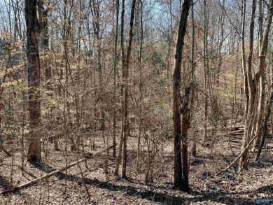 Lake Guntersville Lot For Sale in Guntersville Alabama