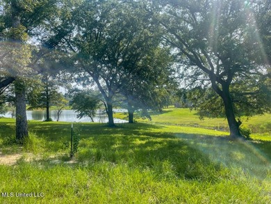 Lake front lots in a beautiful new Subdivision on Highway 63 - photo 16