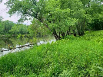 Paint River - Iron County Acreage For Sale in Crystal Falls Michigan