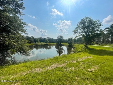 Lake front lots in a beautiful new Subdivision on Highway 63 - photo 34