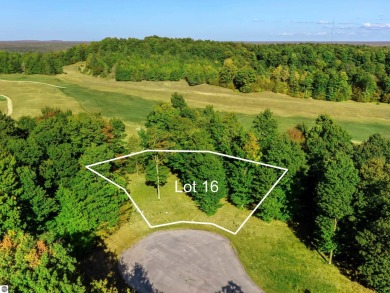 Lake Lot For Sale in Beulah, Michigan