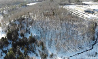 (private lake, pond, creek) Acreage For Sale in Houghton Michigan