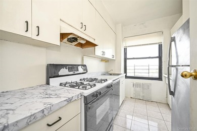 Spacious 950 sq. ft. Junior 4 in the desirable Anita Terrace - photo 4