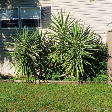 Welcome to peaceful country living! This 3-bedroom, 2-bath home - photo 50
