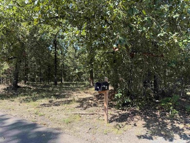 VACANT .50 ACRE LOT NO RESTRICITONS. READY FOR YOU TO BUILD A - photo 1