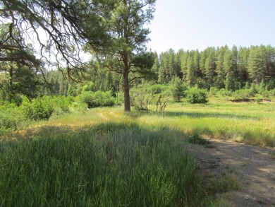 Lake Acreage For Sale in Pagosa Springs, Colorado