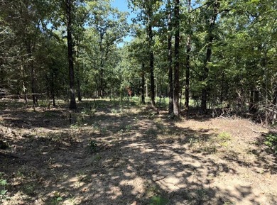 VACANT .50 ACRE LOT NO RESTRICITONS. READY FOR YOU TO BUILD A - photo 4