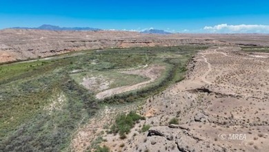 An incredibly rare opportunity! 80 Acres with Virgin River - photo 4