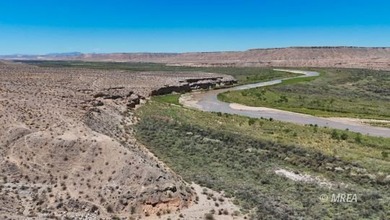 An incredibly rare opportunity! 80 Acres with Virgin River - photo 6