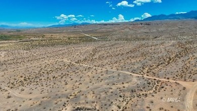 An incredibly rare opportunity! 80 Acres with Virgin River - photo 8