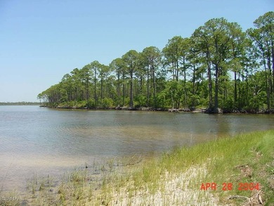 124 Acres on West Bay in Panama City Beach - ''The Oak Grove on - photo 4