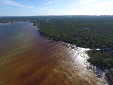 124 Acres on West Bay in Panama City Beach - ''The Oak Grove on - photo 7