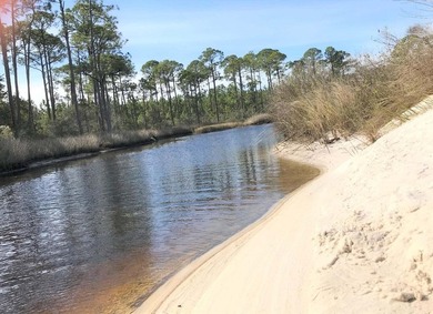 124 Acres on West Bay in Panama City Beach - ''The Oak Grove on - photo 8