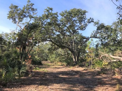 124 Acres on West Bay in Panama City Beach - ''The Oak Grove on - photo 9