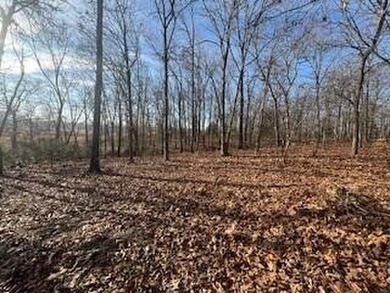 WOW LOOK AT THIS ONE! Beautiful 3 bedroom 2 bath home on 5 acres