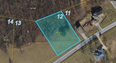 New Construction on 0.77 Acres in Cape Fair VillageDiscover the - photo 9