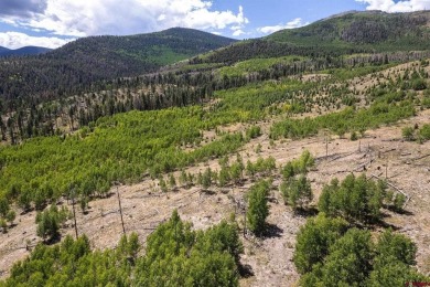 (private lake, pond, creek) Lot For Sale in South Fork Colorado