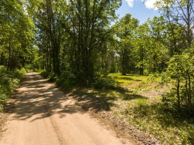 Lake Acreage For Sale in White Cloud, Michigan