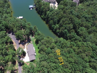 LL209 - Lake Lot For Sale in Wedowee, Alabama