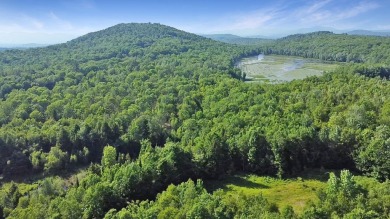 Lake Acreage For Sale in Hartford, Maine
