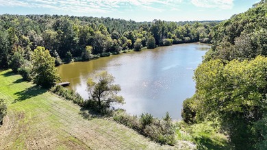 (private lake, pond, coastal) Acreage For Sale in Kinards South Carolina