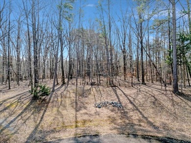 HIDDEN COVE ON KERR LAKE - Exceptional development opportunity - photo 19