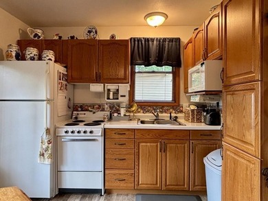 YEAR AROUND NATURAL GAS AND ELECTRIC SERVICE IS AVAILABLE. THIS - photo 24