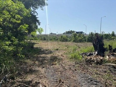 Property comes with Culvert, Public Water and SurveyZoned - photo 3