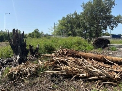 Property comes with Culvert, Public Water and SurveyZoned - photo 4